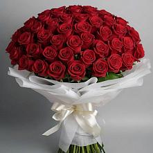 Букет 101 Красная роза Блэк Мэджик в Калачеевском
