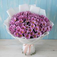 Букет цветов из:  Хризантемы в Калачеевском