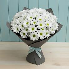Букет цветов из:  Хризантемы в Калачеевском