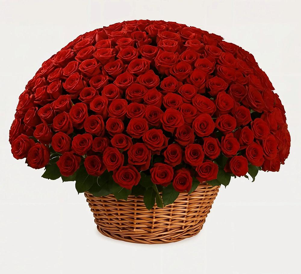 Премиум букет из: Розы в Калачеевском