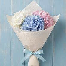 Букет цветов из:  Гортензия в Калачеевском