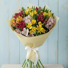 Букет цветов из:  Альстромерии в Калачеевском