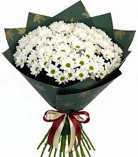 Букет цветов из:  Хризантемы #REPLACE_PRED# Калачеевском