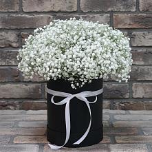 Цветочная композиция из Гипсофила в шляпной коробке #REPLACE_PRED# Калачеевском