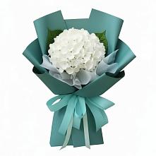 Букет цветов из:  Гортензия #REPLACE_PRED# Калачеевском